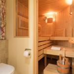 Sauna with wooden benches and entrance area with toilet and window