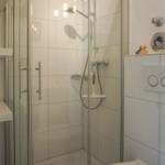 Shower cabin with glass door, showerhead, and shelf with bottles.