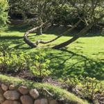 Garden with lawn, trees, and stone wall