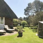 Backyard with loungers, lawn, and trees beside a thatched-roof house.