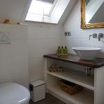 Bathroom with toilet, sink, and shower under sloped ceiling.