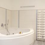 Shower with whirlpool bathtub, handheld shower, and modern heater.