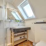 Bathroom with shower, sink, and skylight.