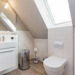 Bathroom with toilet, sink, and skylight.