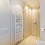 Shower with glass enclosure, toilet, and wall-mounted heater