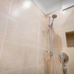 Shower with handheld showerhead and built-in shelf