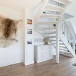 Bright rooms with wooden floors, white stairs, and fur on the wall.