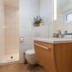 Bathroom with shower, toilet, and sink with mirror.