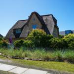 Cottage with thatched roof, green garden and stone path.