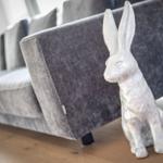Ein weißer Hase steht vor einem grauen Sofa auf Holzboden.