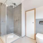 Shower with glass enclosure, toilet, and sink area