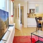 Apartment with kitchen, dining area, and TV. Wooden floor and red rug.