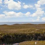 Meer und Dünenblick von der Terrasse aus