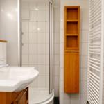 Bathroom with shower, sink, and wooden cabinets.