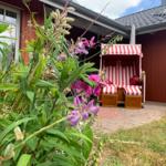 Garten mit Terrasse und Strandkorb