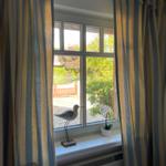 Blick aus dem Schlafzimmer