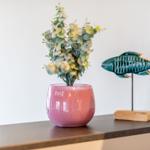 Auf der Arbeitsplatte steht eine rosa Vase mit grüner Pflanze und eine dekorative Fischfigur.