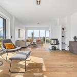Living room with seating, fireplace and TV. Wooden floor and large windows.