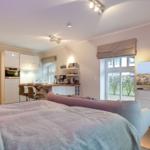 Bedroom with kitchen area and TV. Large windows and modern furniture.