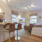 Bedroom with kitchen area and TV. Wooden floor and large windows.