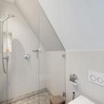Dusche mit Glaswand, Toilette und Heizung im Dachbodenbad.
