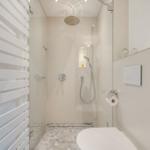 Moderne Dusche mit Regenduschkopf und Handbrause. Toilette und Heizung sind sichtbar.