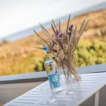 Auf der Terrasse steht ein Tisch mit einer Flasche, Gläsern und einem Vasenarrangement.