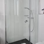 Shower area with glass enclosure, shower head, and shelf with plant.