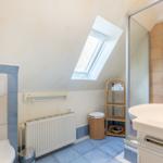 Badezimmer mit Dusche, Waschbecken und Dachfenster.
