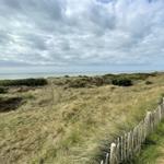 Grasbewachsene Dünen mit Holzzaun und Blick auf das Meer unter bewölktem Himmel.