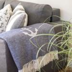 Gray sofa with anchor-patterned cushions and blanket, green plant in foreground.