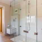 Shower with glass enclosure, toilet, view into bedroom