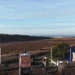 Dachlandschaft mit Blick auf Wald und Meer