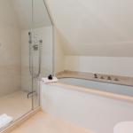 Bath with shower and bathtub under sloped ceiling