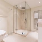 Bathroom with shower, toilet, and towel warmer.