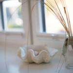 On the windowsill, a glass vase with dried plants and a shell as decoration.