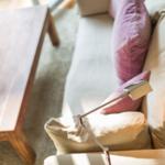 Sofa with cushions and table with plants