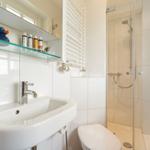 Badezimmer mit Dusche, Waschbecken und Toilette. Auf Regal eine blaue Ente.