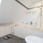 Bathroom with bathtub, shower, and skylight.