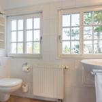 Bathroom with toilet, sink, and two windows.