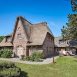 House with thatched roof, garden, and terrace with lounge chairs.