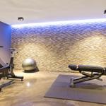 Fitnessraum mit Fahrradtrainer, Gymnastikball und Liegestuhl vor Steinwand
