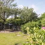Garden with table, chairs, and blooming rose hedges under trees.