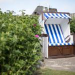 A blue and white beach chair stands in the garden beside shrubs.
