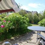 Terrace with table, chairs, and sunshade. Background: green hedge and roses.