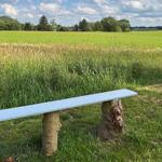 Gartenblick