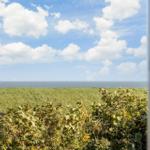 Durch ein Fenster blickt man auf einen grünen Hang und das Meer unter einem blauen Himmel mit weißen Wolken.