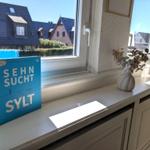 Ein Buch und Blumen auf dem Fensterbrett mit Blick auf Häuser.