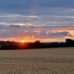 Landschaft...