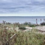 Strand...